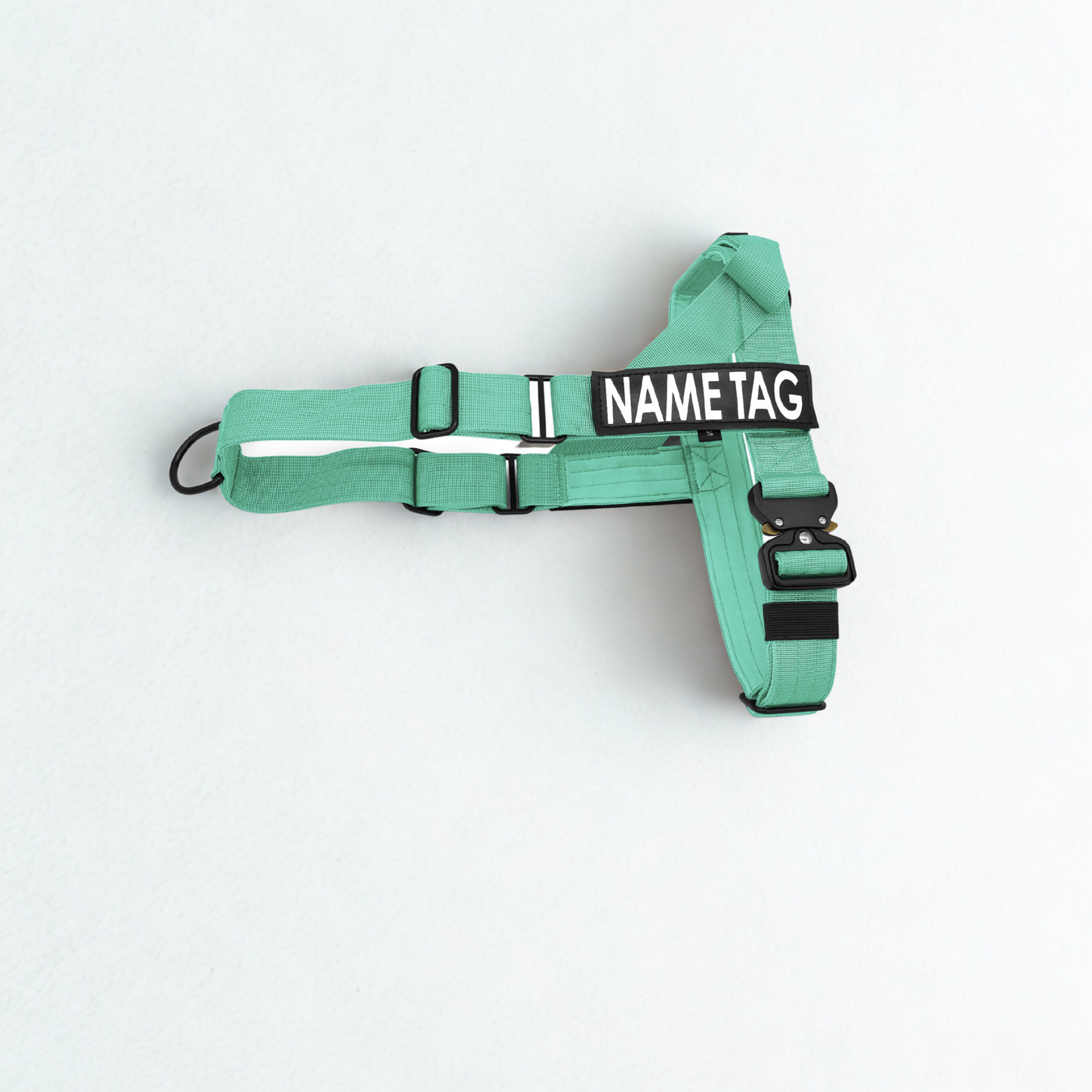 Heavy Duty Everyday Harness with Name Tag