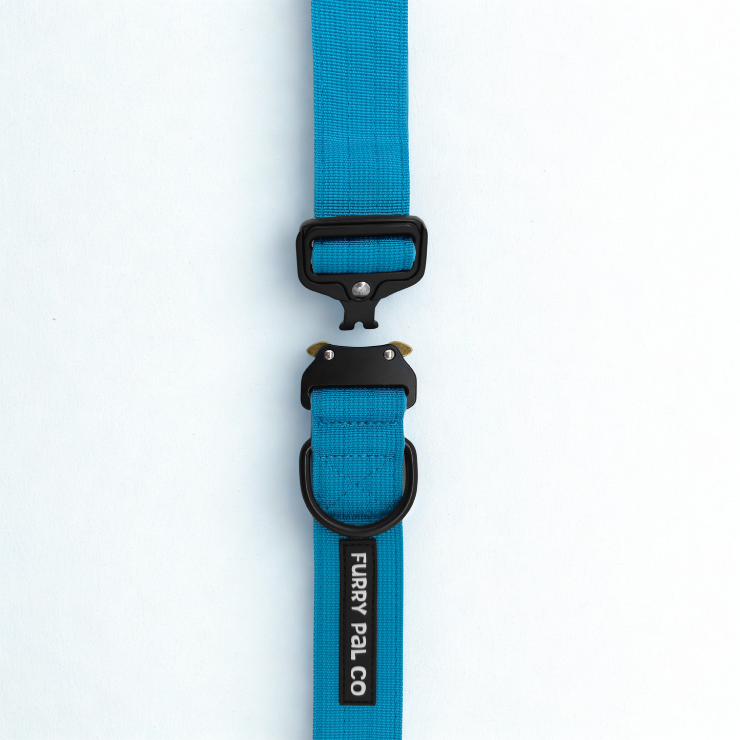 Heavy Duty Everyday Collar