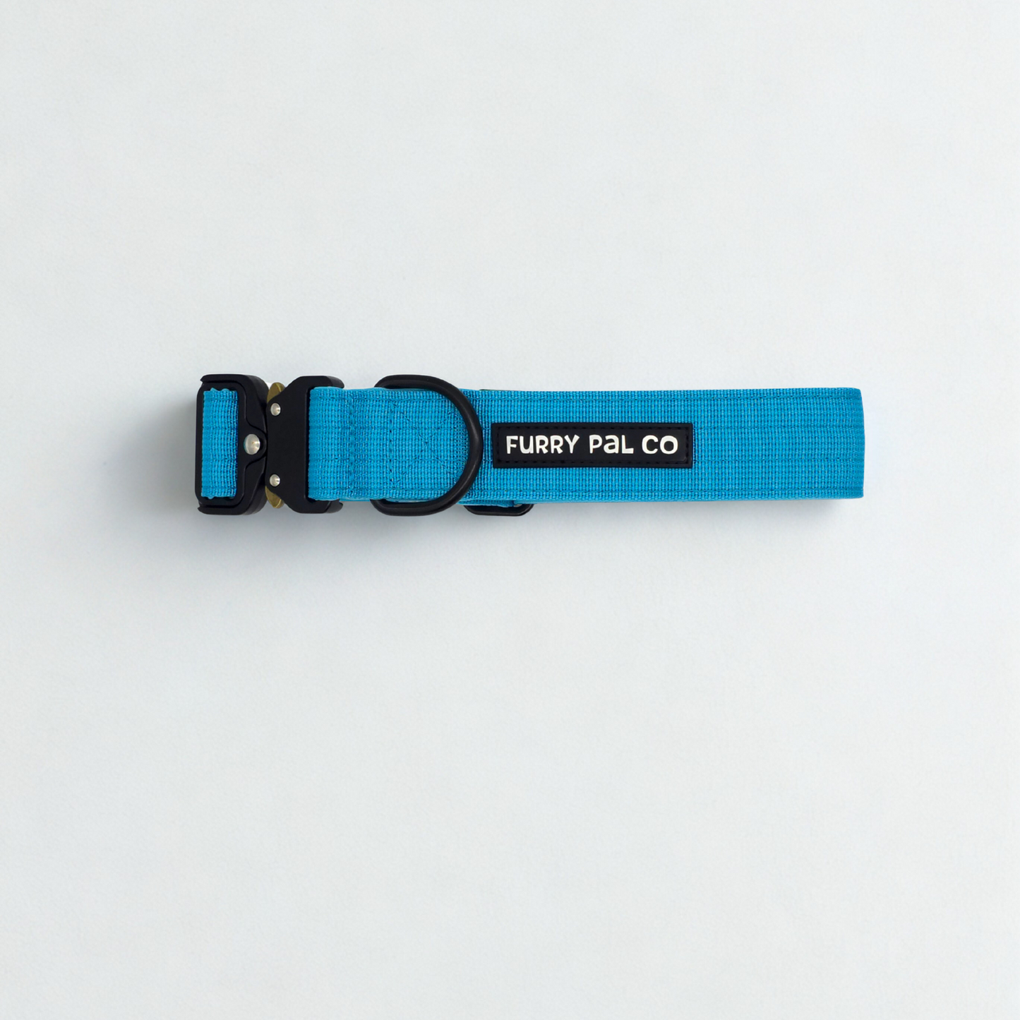 Heavy Duty Everyday Collar