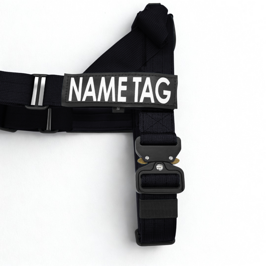 Heavy Duty Everyday Harness with Name Tag