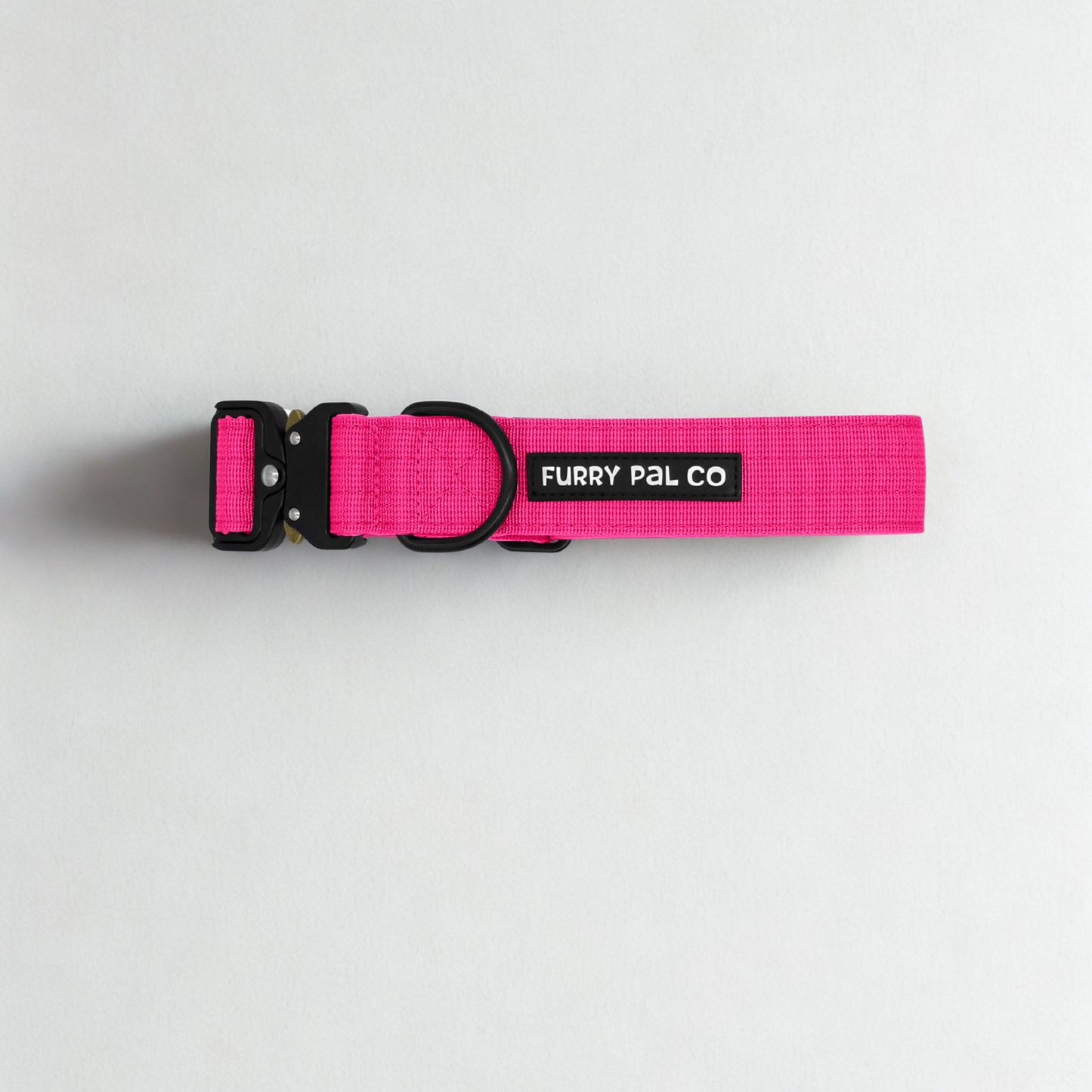 Heavy Duty Everyday Collar
