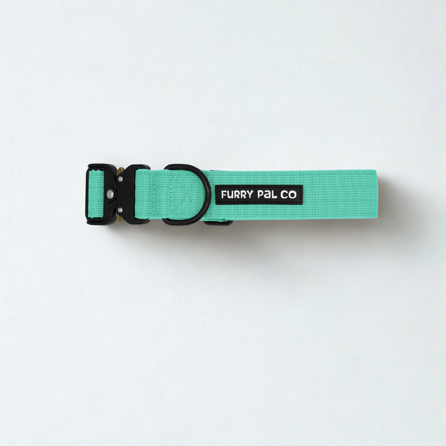 Heavy Duty Everyday Collar