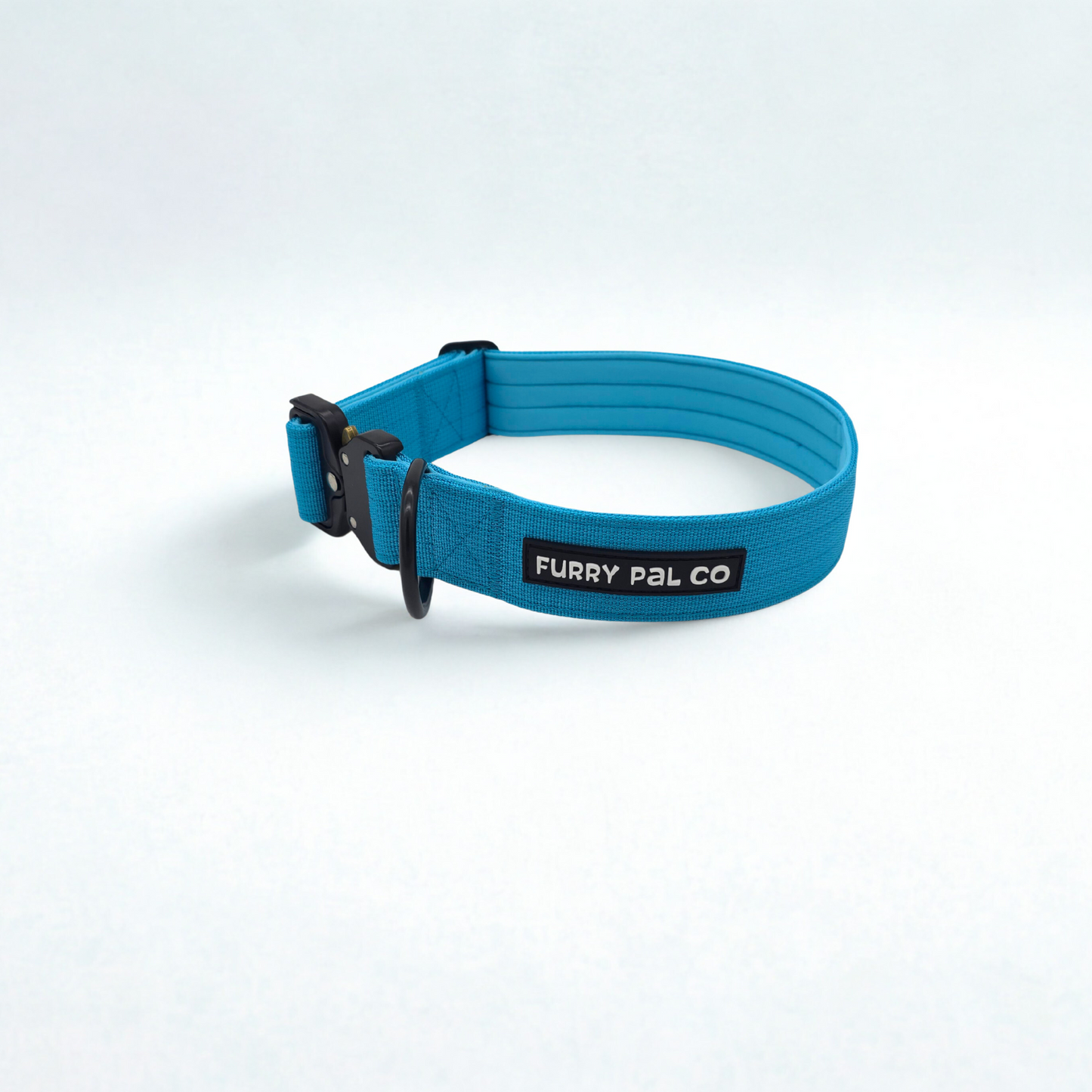 Heavy Duty Everyday Collar