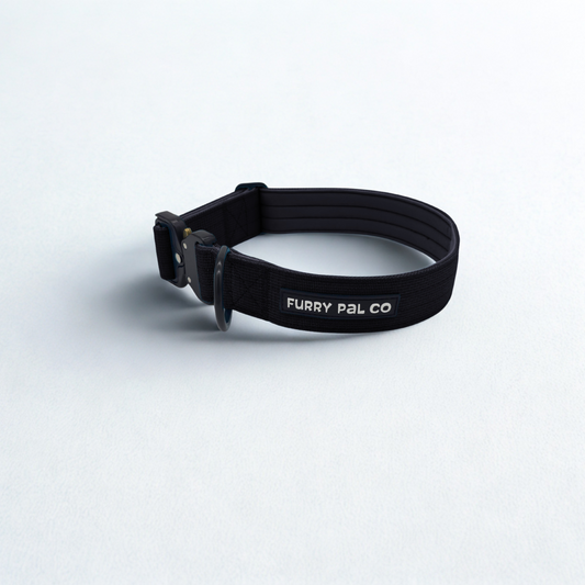 Heavy Duty Everyday Collar