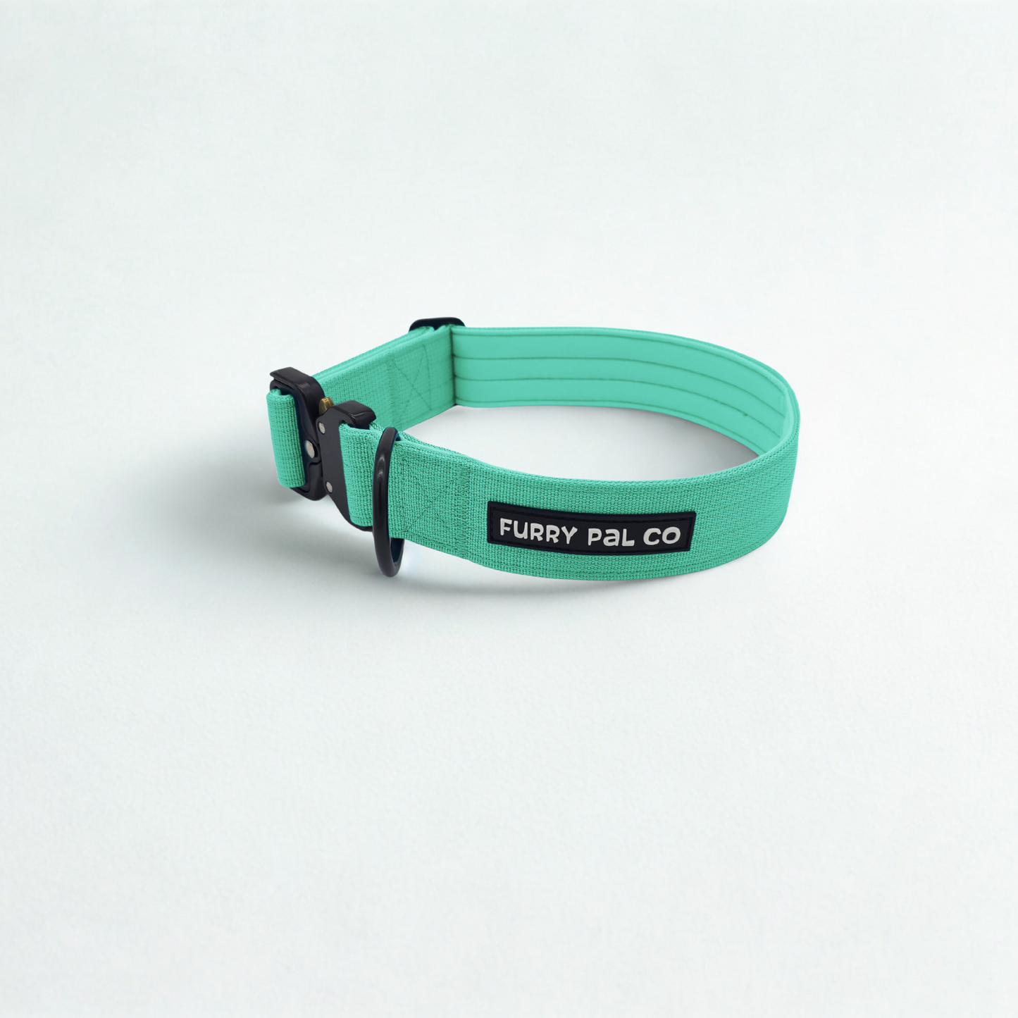 Heavy Duty Everyday Collar