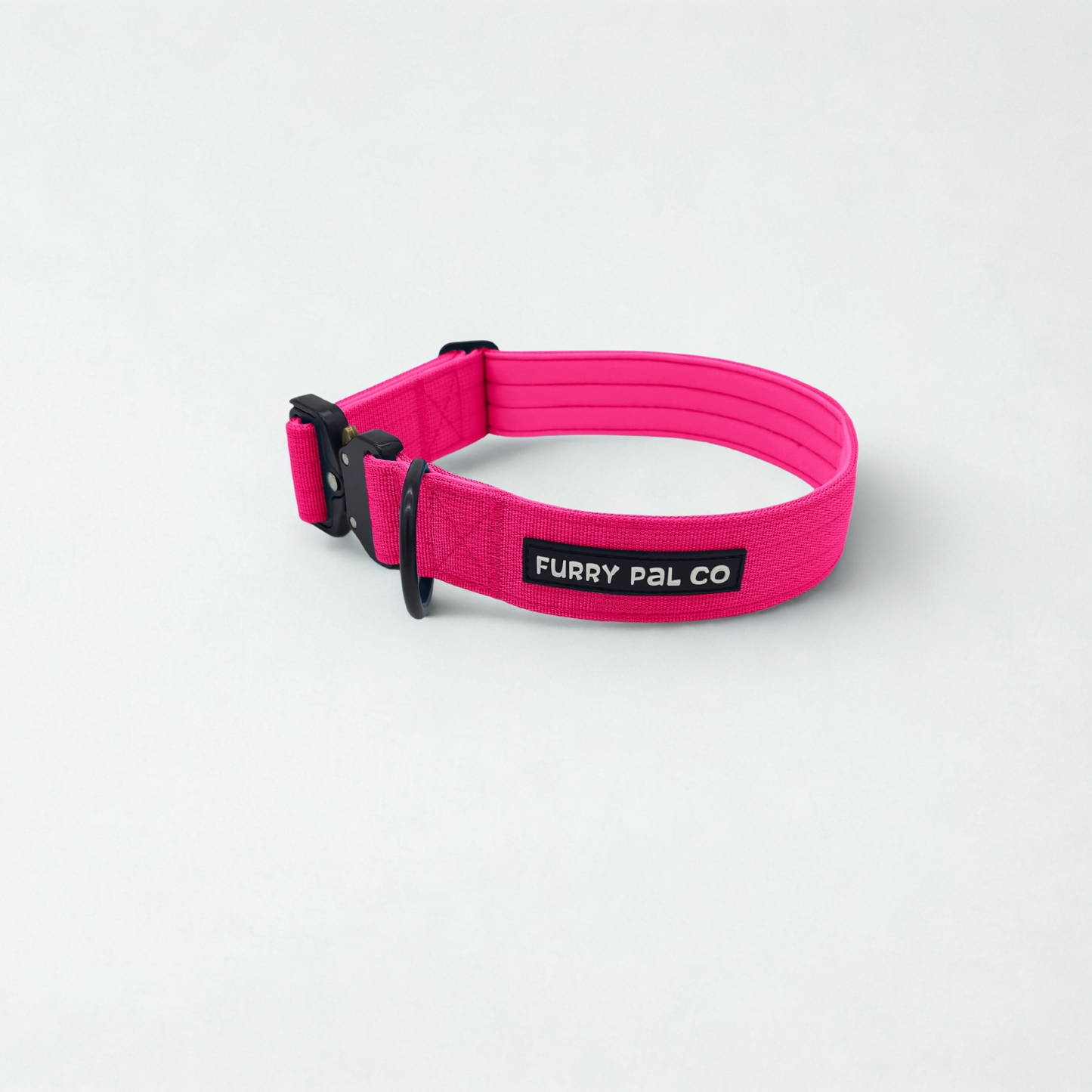 Heavy Duty Everyday Collar