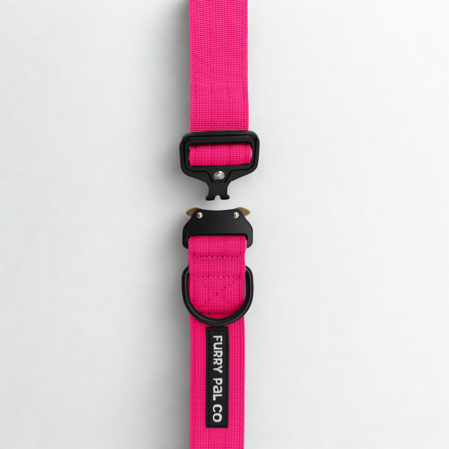 Heavy Duty Everyday Collar