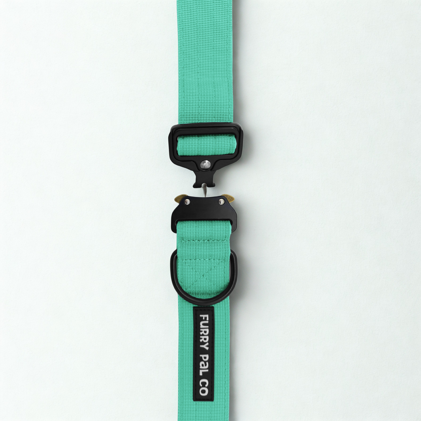 Heavy Duty Everyday Collar