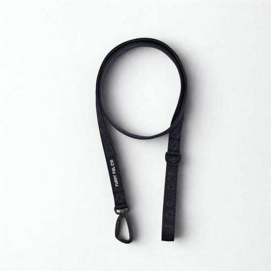 Heavy Duty Everyday Leash with Lockable Clip