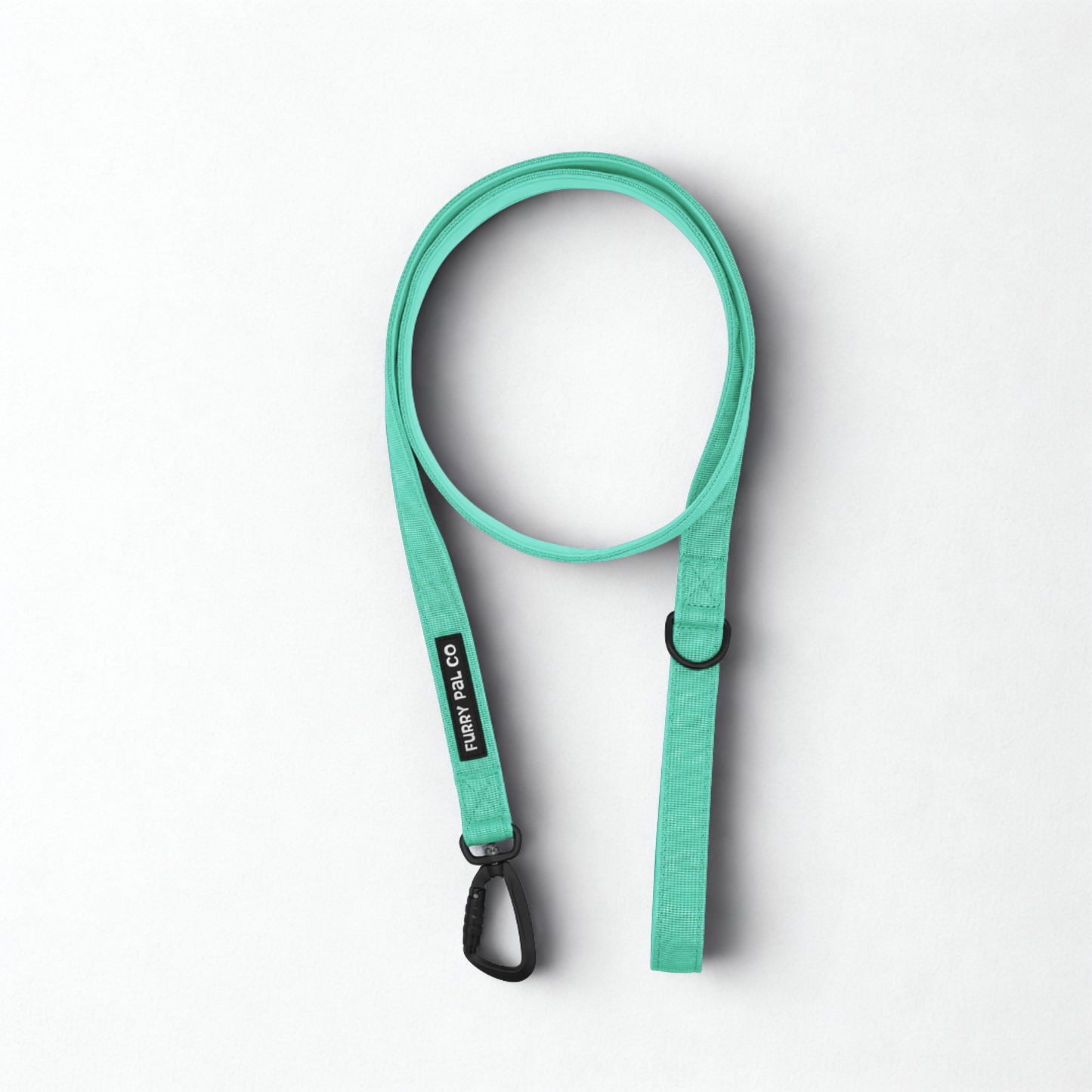 Heavy Duty Everyday Leash with Lockable Clip