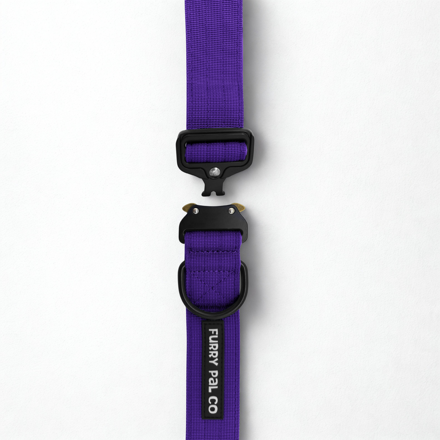 Heavy Duty Everyday Collar