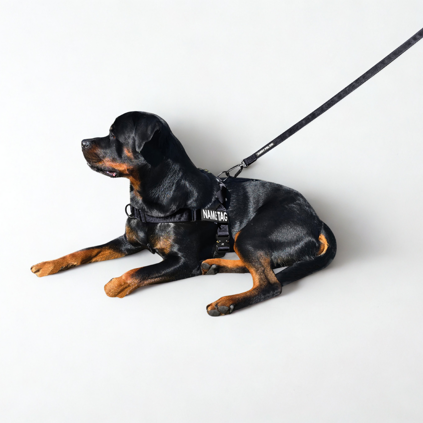 Heavy Duty Everyday Leash with Lockable Clip