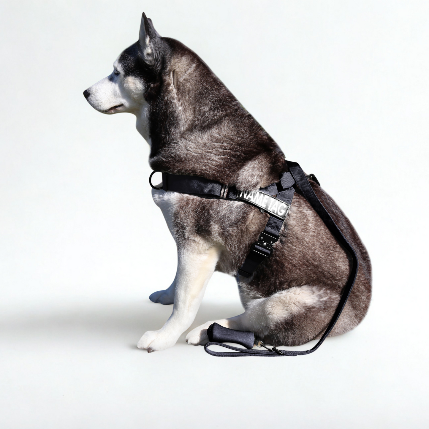 Heavy Duty Everyday Leash with Lockable Clip