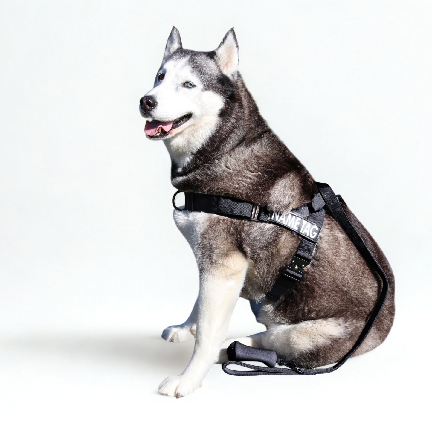Heavy Duty Harness Set - Harness, Leash & Poop Bag Holder