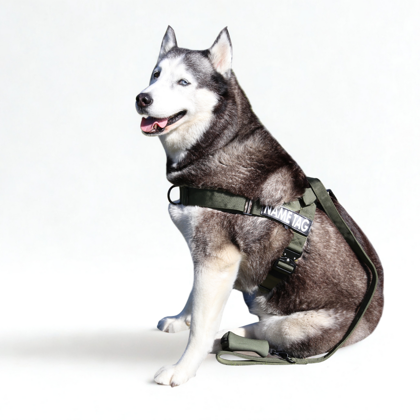 Heavy Duty Harness Set - Harness, Leash & Poop Bag Holder