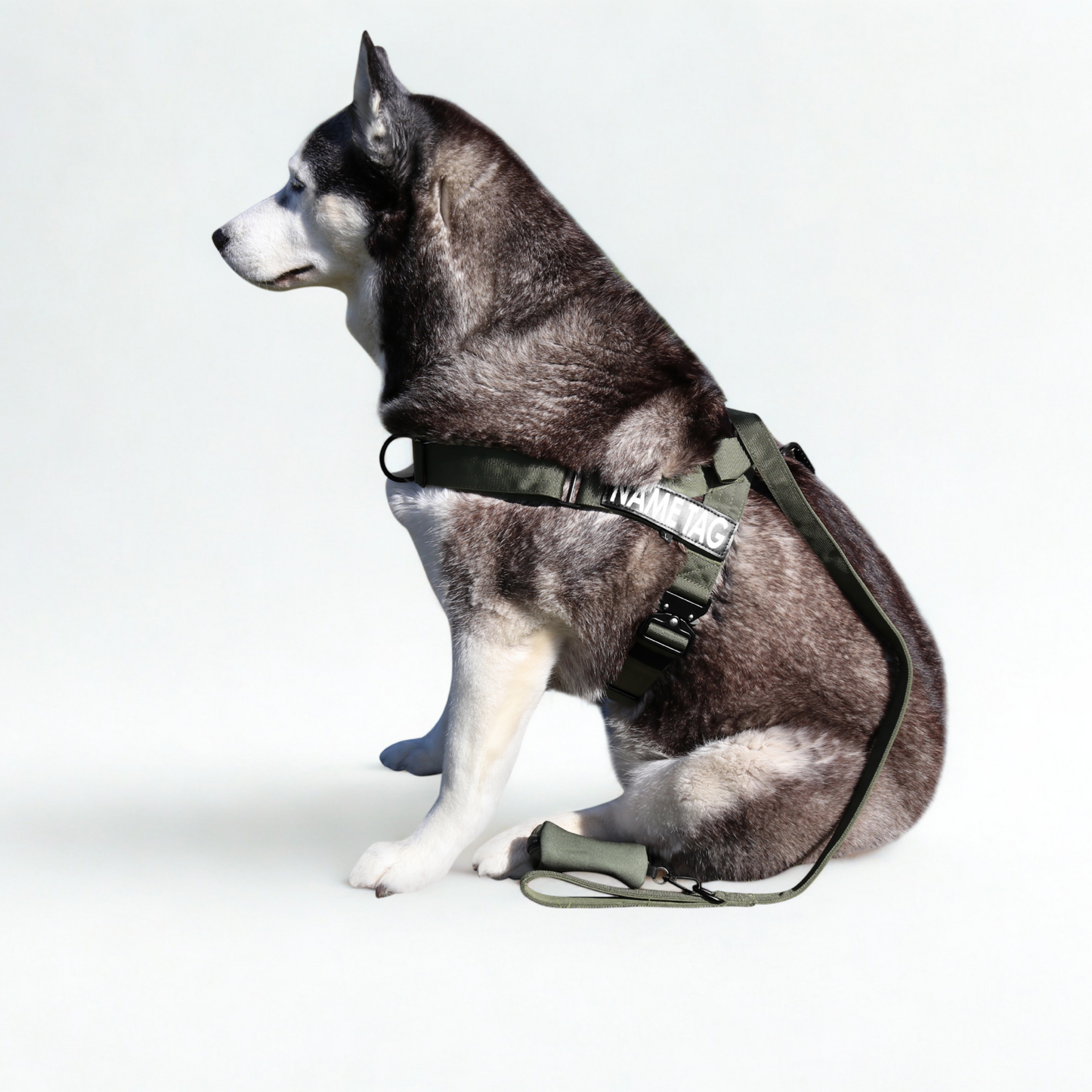 Heavy Duty Everyday Leash with Lockable Clip
