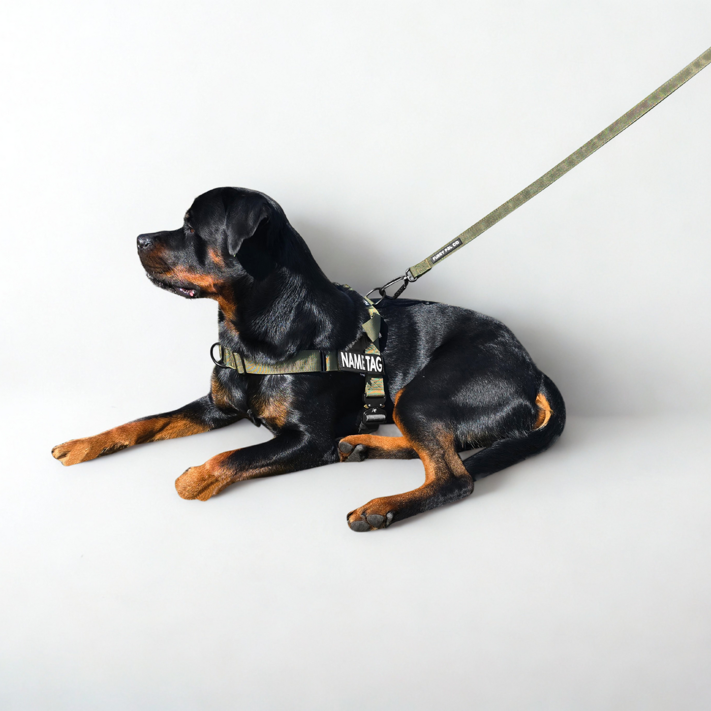 Heavy Duty Everyday Leash with Lockable Clip