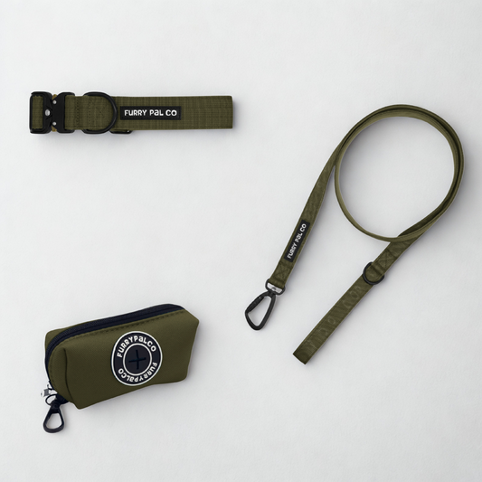 Heavy Duty Collar Set - Collar, Leash & Poop Bag Holder