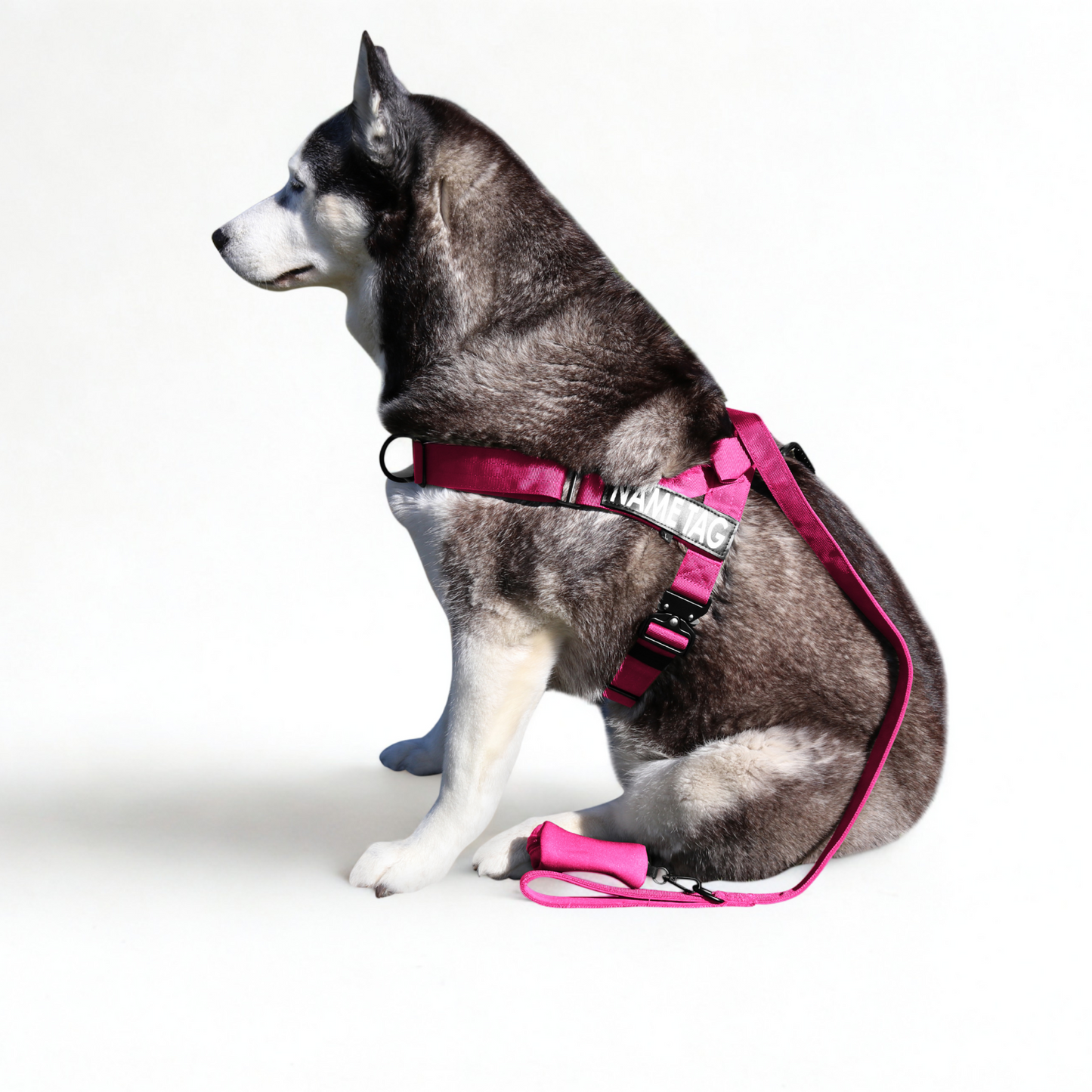 Heavy Duty Everyday Leash with Lockable Clip