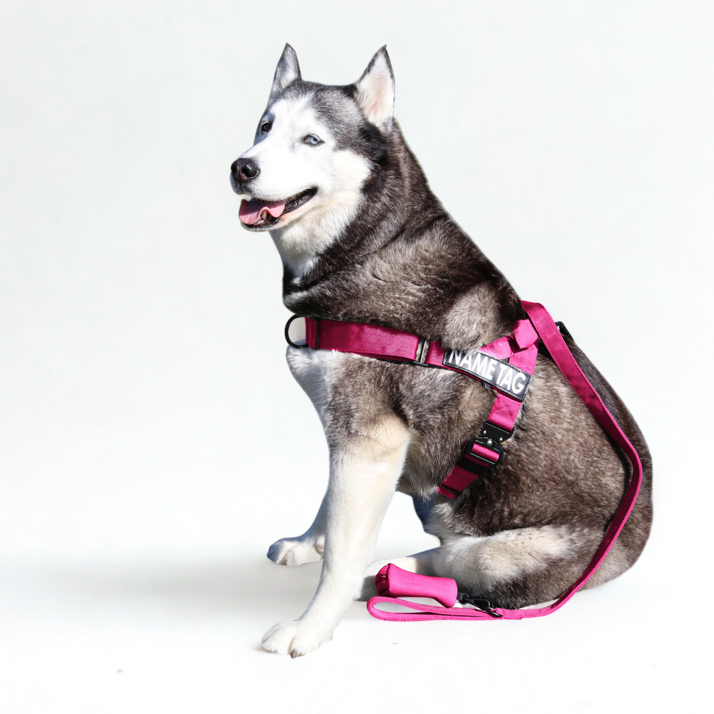 Heavy Duty Harness Set - Harness, Leash & Poop Bag Holder