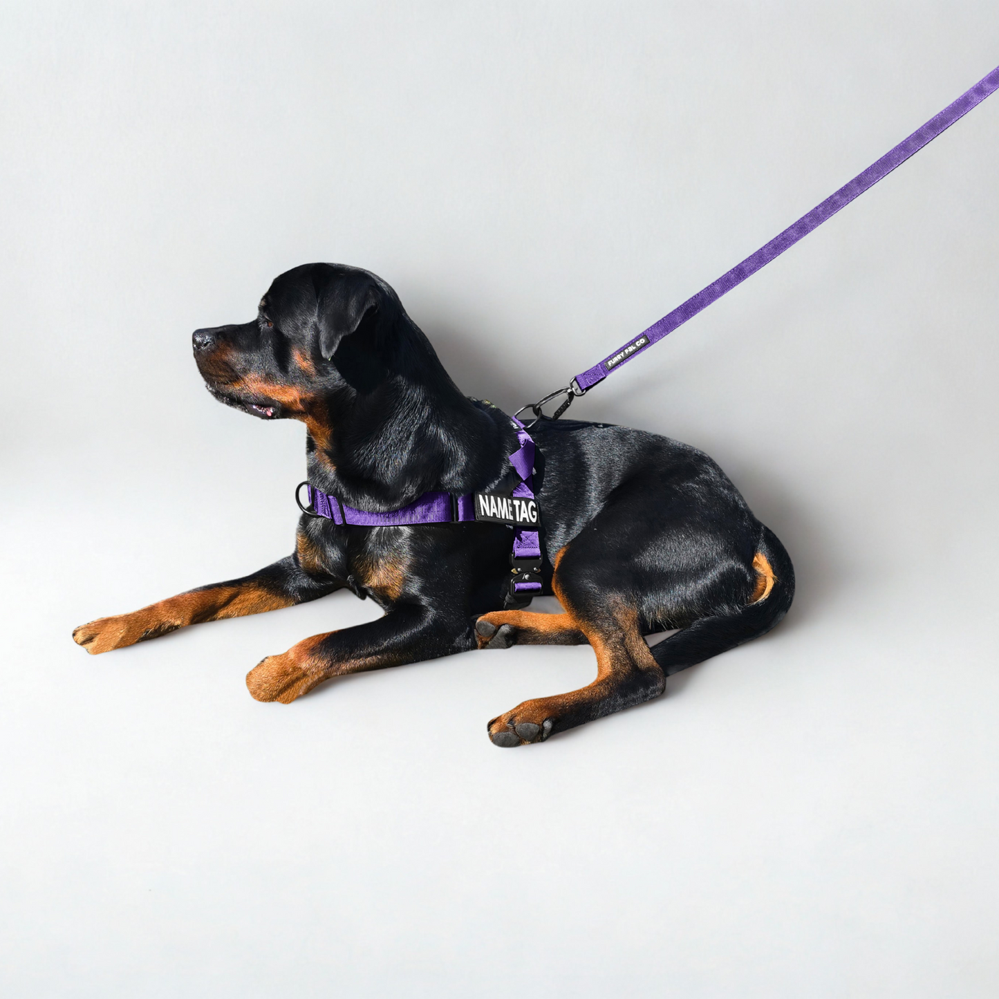 Heavy Duty Everyday Leash with Lockable Clip