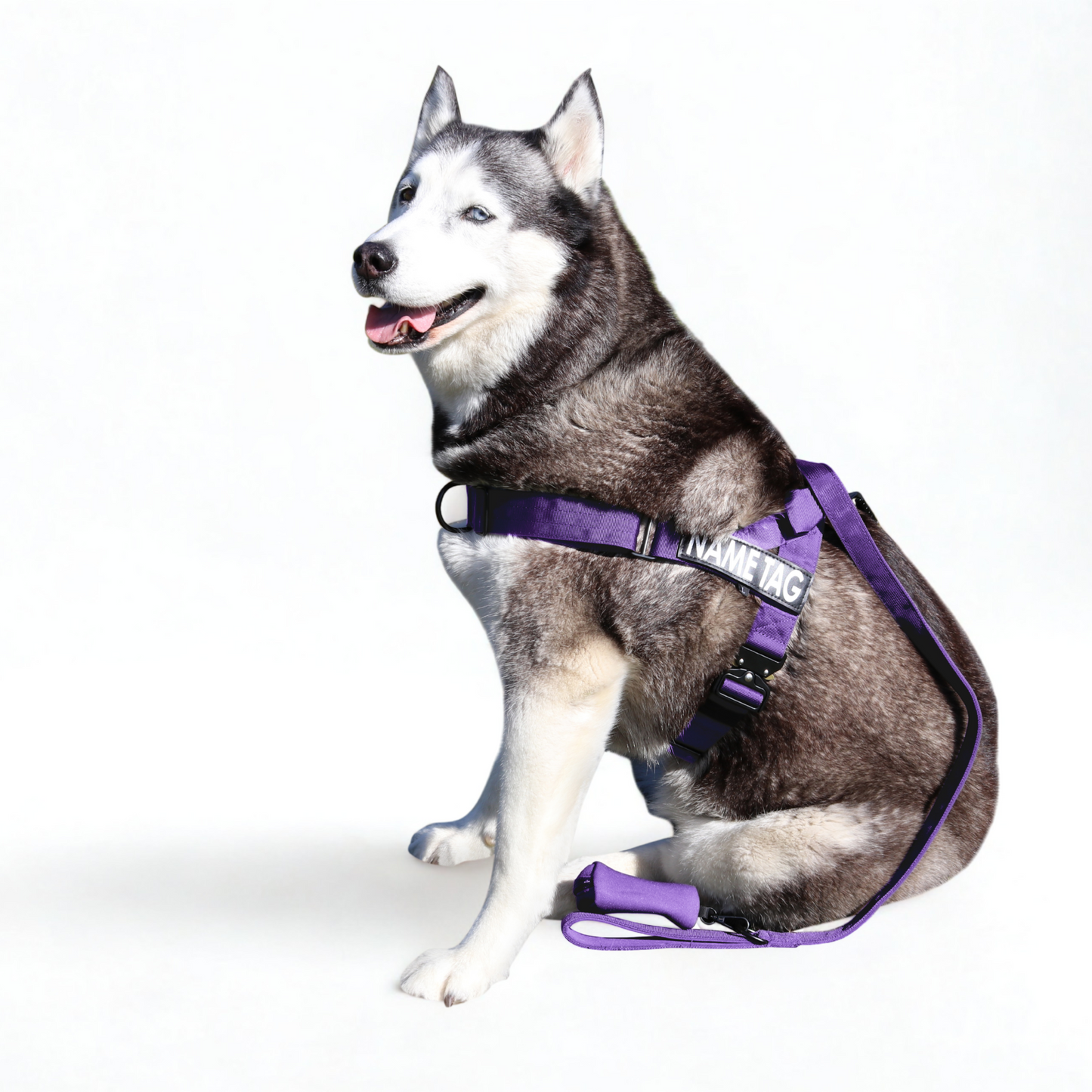 Heavy Duty Harness Set - Harness, Leash & Poop Bag Holder