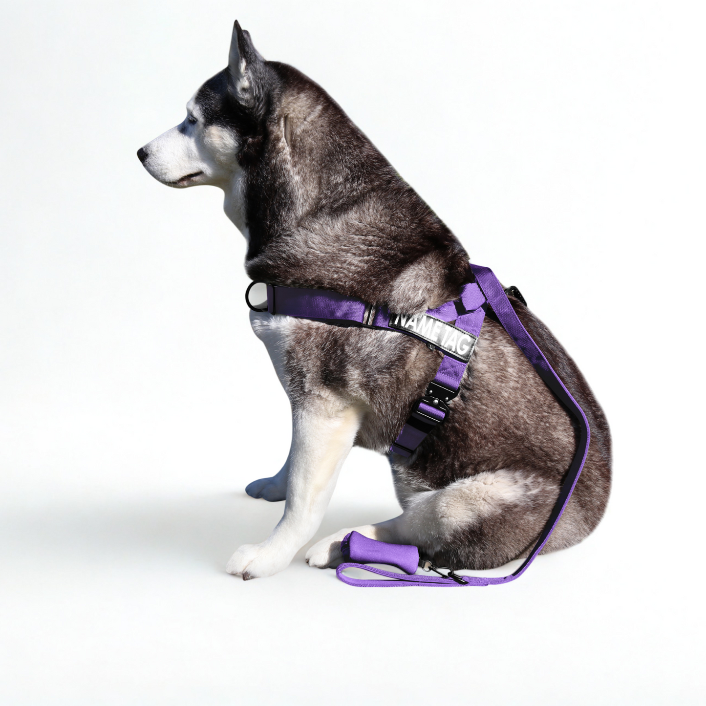 Heavy Duty Everyday Leash with Lockable Clip