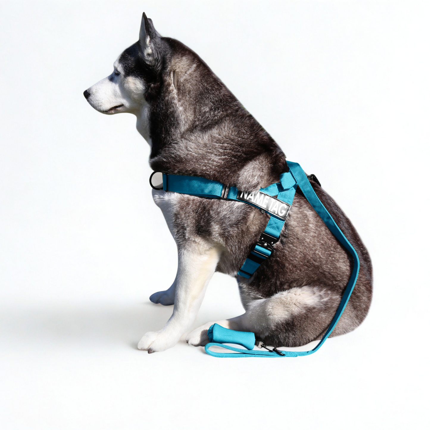 Heavy Duty Everyday Leash with Lockable Clip