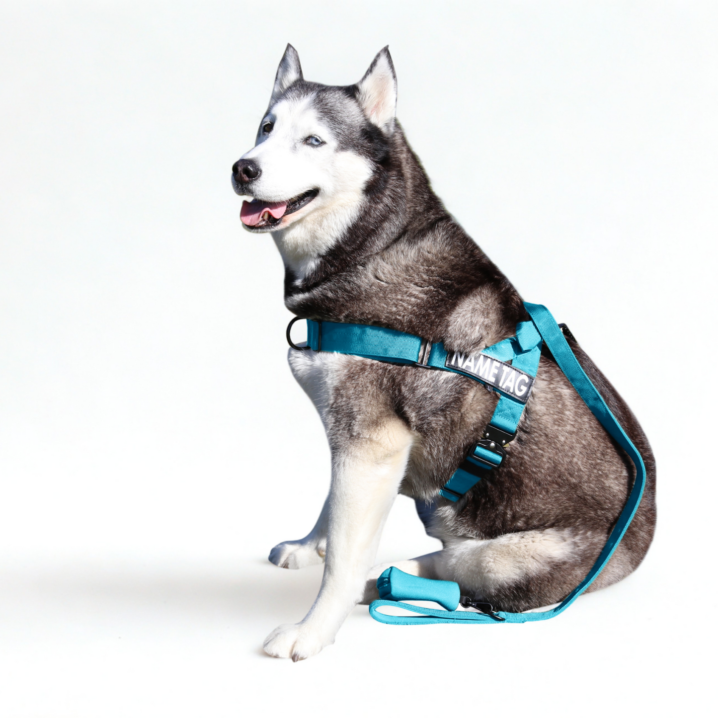 Heavy Duty Harness Set - Harness, Leash & Poop Bag Holder