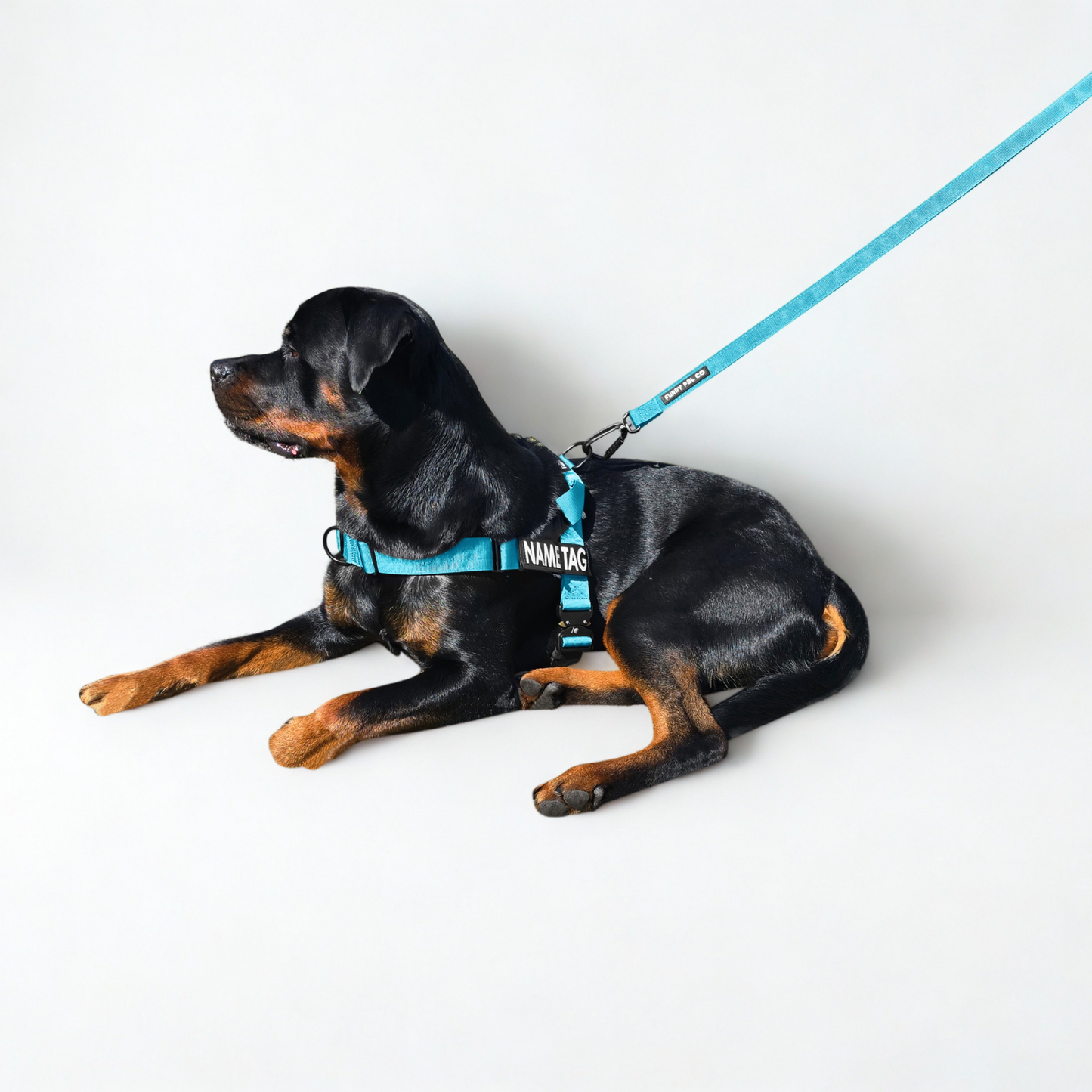 Heavy Duty Everyday Leash with Lockable Clip