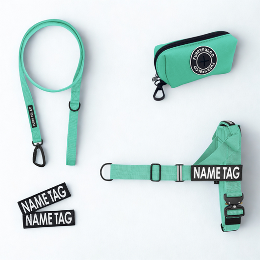 Heavy Duty Harness Set - Harness, Leash & Poop Bag Holder
