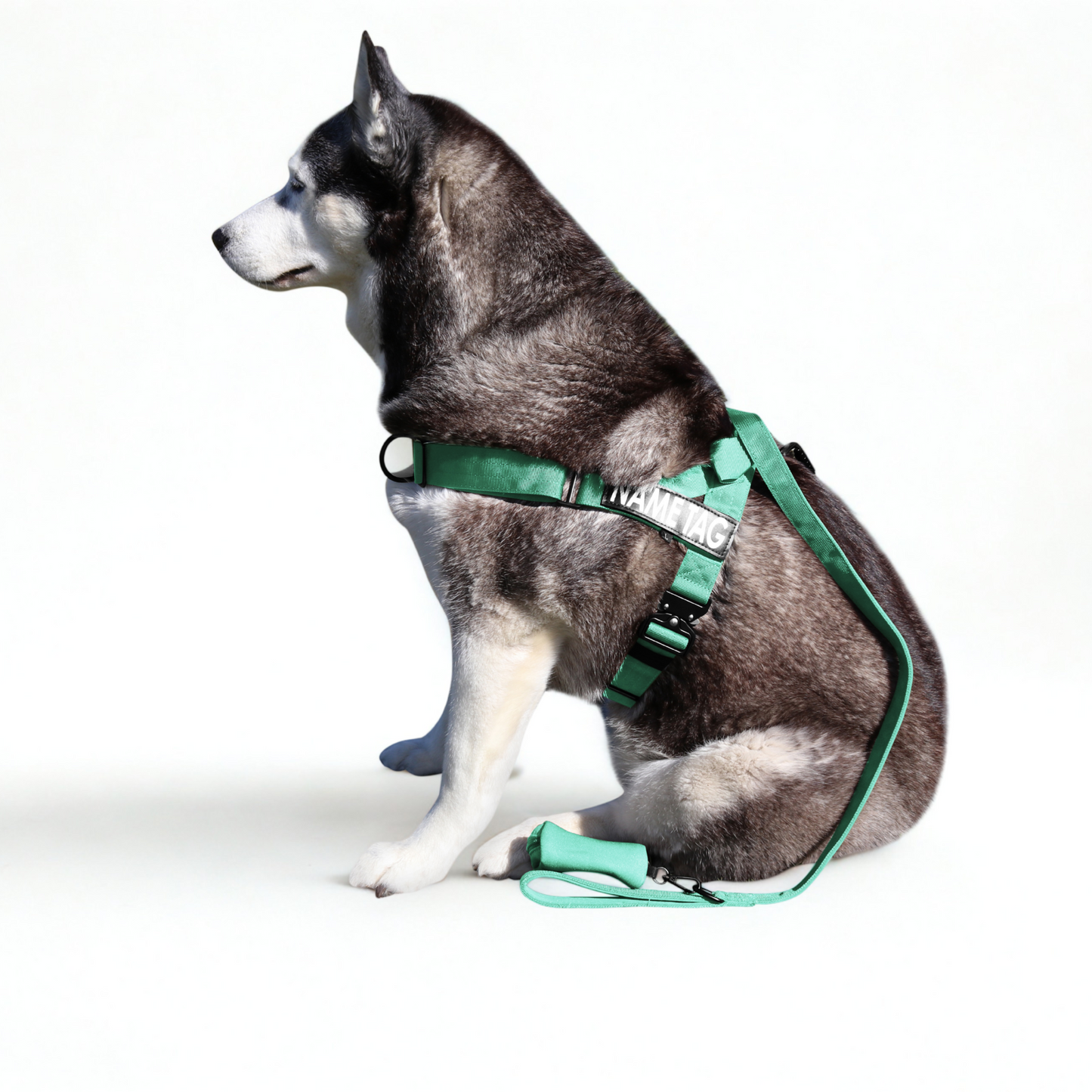 Heavy Duty Everyday Leash with Lockable Clip