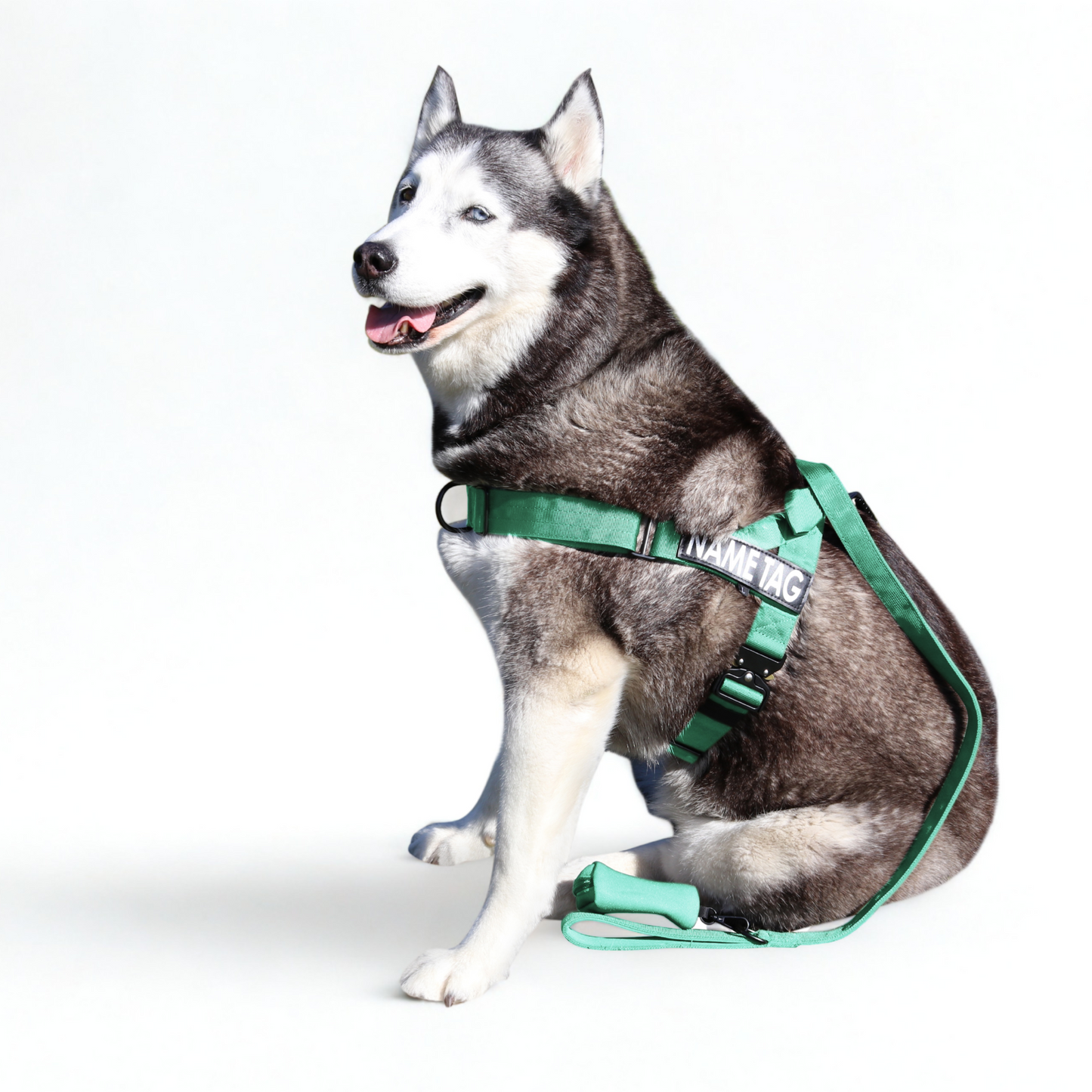 Heavy Duty Harness Set - Harness, Leash & Poop Bag Holder