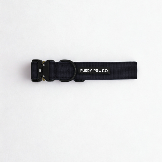 Heavy Duty Everyday Collar