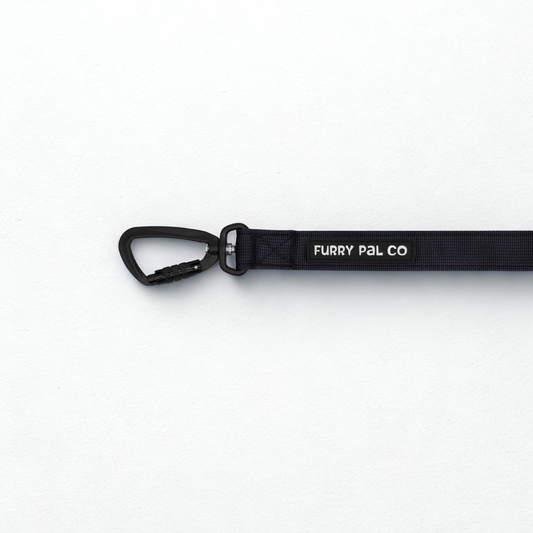 Heavy Duty Everyday Leash with Lockable Clip