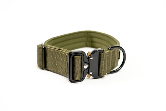 Heavy Duty Everyday Collar