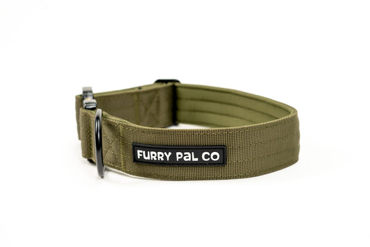 Heavy Duty Everyday Collar