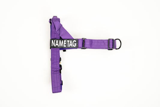 Heavy Duty No-Pull Harness